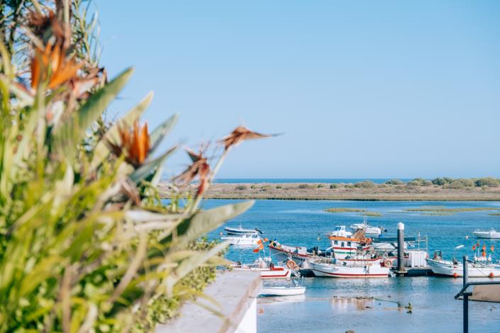 Image No.4-Bar for sale