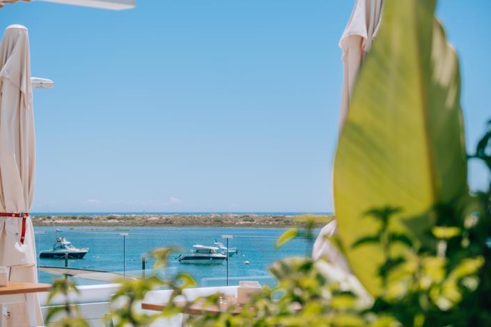 Image No.6-Bar for sale