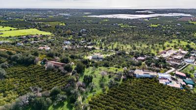 DJI_20260203104637_0022_D