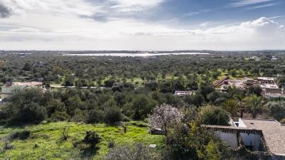 DJI_20260203104737_0024_D