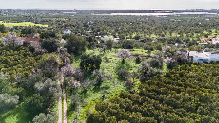 Image No.5-Land for sale