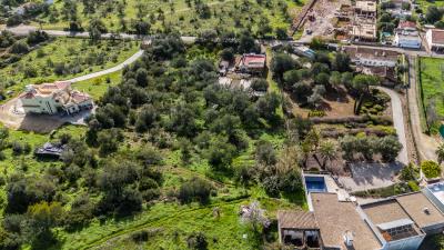 DJI_20260203104853_0032_D