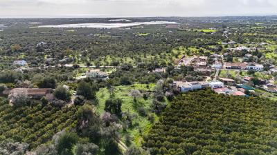 DJI_20260203104921_0033_D