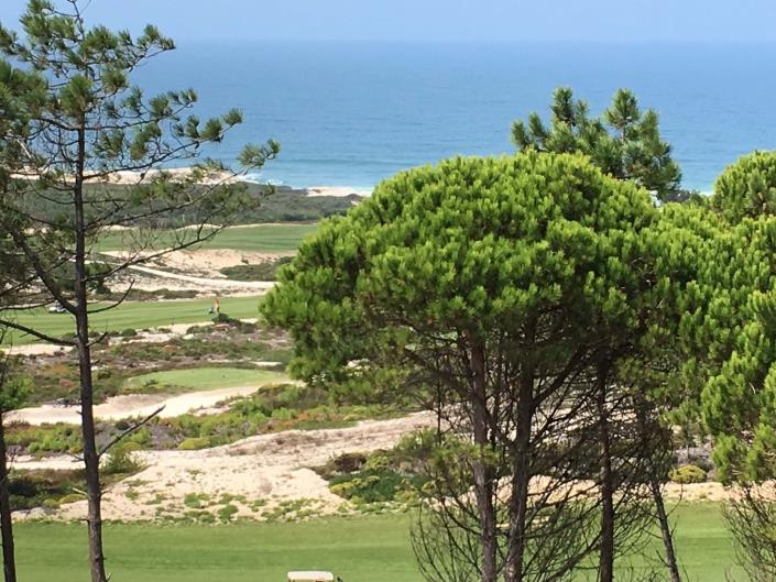 Image No.12-3 Bed Duplex for sale