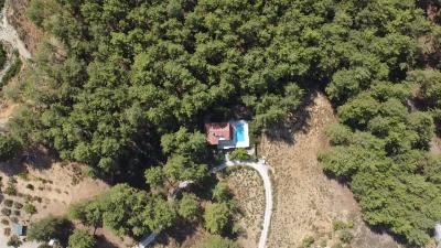 Unique-Detached-House-in-Uzumlu--7-