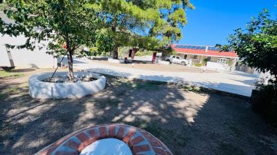 WhatsApp-Image-2023-10-11-at-9-50-44-AM--14-