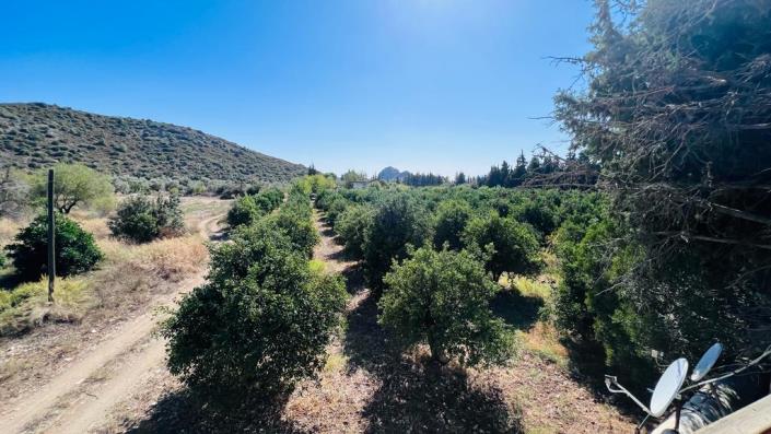 Image No.24-Un hôtel de 10 chambres à vendre à Datça