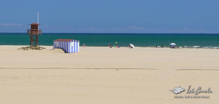 Image No.9-2 Bed Penthouse for sale