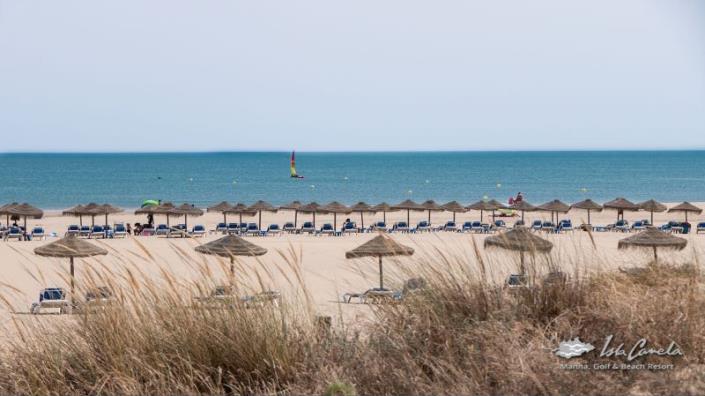 Image No.4-3 Bed Penthouse for sale