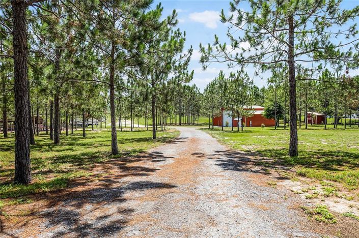 Image No.56-3 Bed House for sale