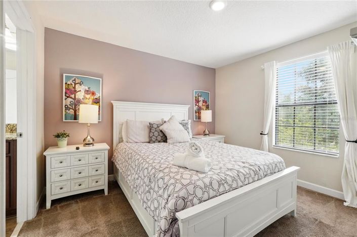 Image No.31-Propriété de 7 chambres à vendre à Davenport