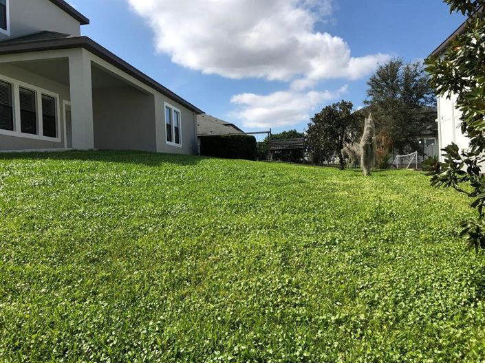 Image No.7-Maison de 5 chambres à vendre à Saint John