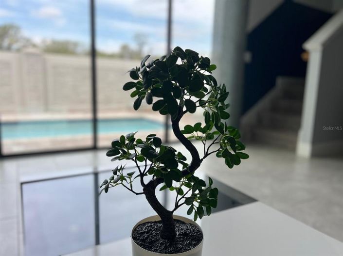 Image No.25-Propriété de 4 chambres à vendre à Davenport