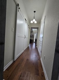 fs512981609