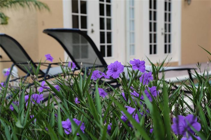 Image No.10-5 Bed House for sale