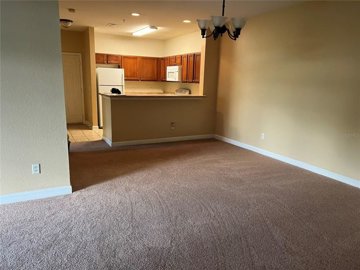 fs513098903