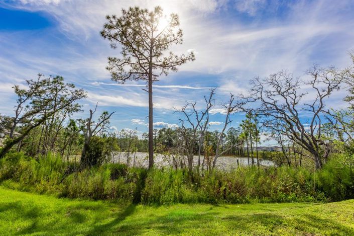 Image No.42-Maison de ville de 3 chambres à vendre à Davenport