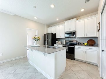 fs513118510