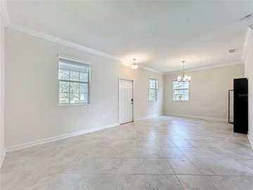 fs513118506