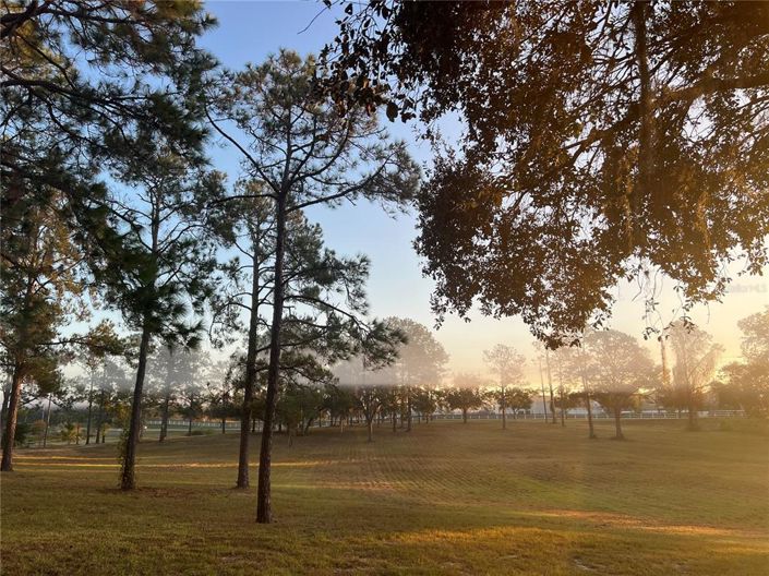 Image No.27-3 Bed House for sale