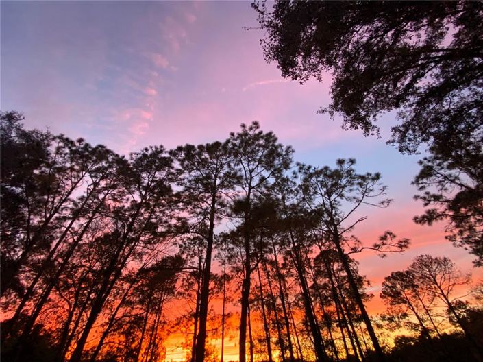 Image No.31-3 Bed House for sale