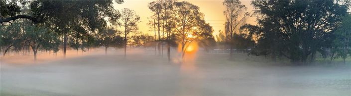 Image No.33-3 Bed House for sale