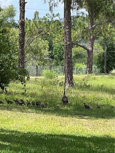 Image No.36-3 Bed House for sale