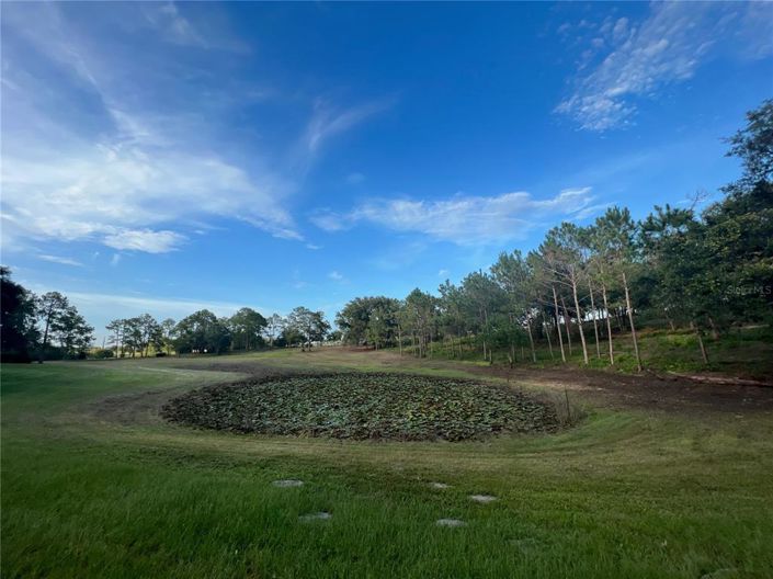 Image No.37-3 Bed House for sale