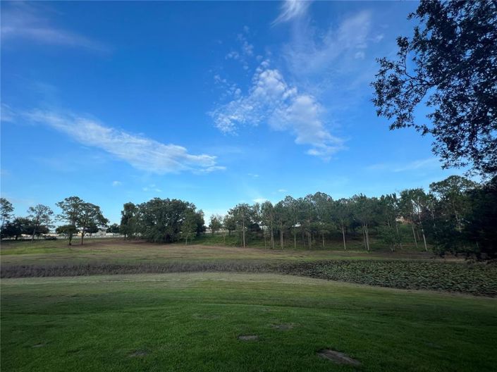 Image No.38-3 Bed House for sale