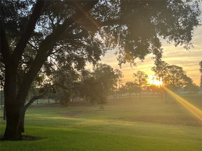 Image No.39-3 Bed House for sale