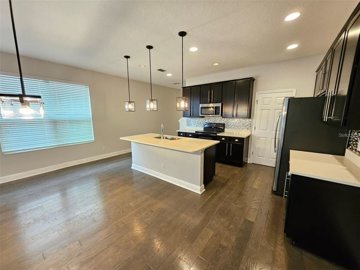 fs513239607