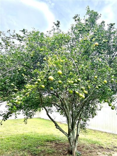 Image No.23-3 Bed House for sale