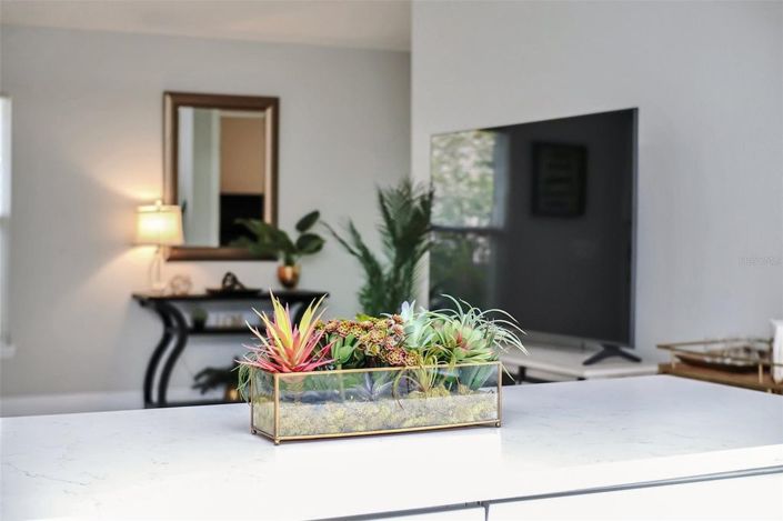 Image No.19-4 Bed House for sale