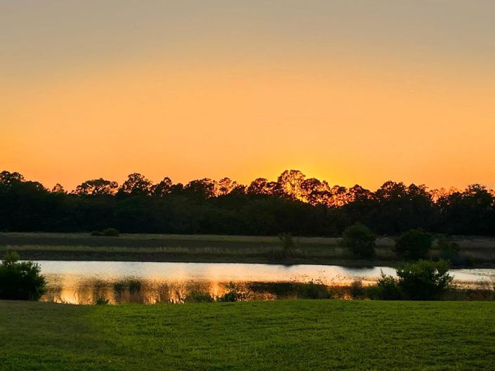 Image No.41-5 Bed House for sale