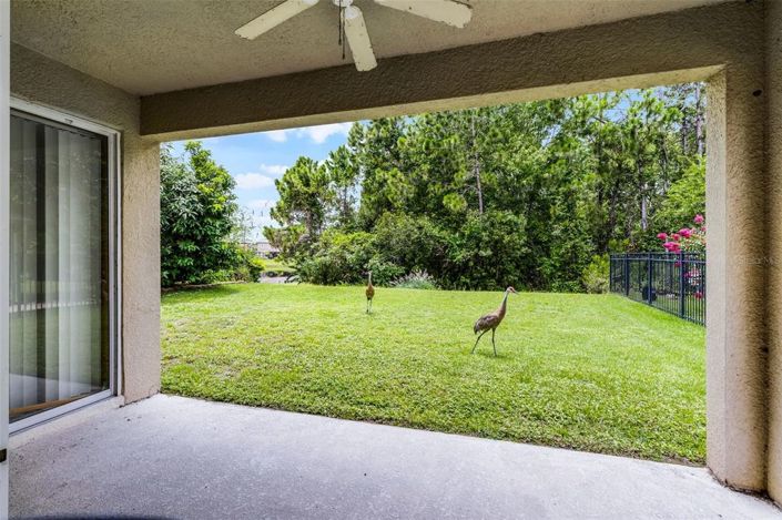 Image No.23-3 Bed House for sale