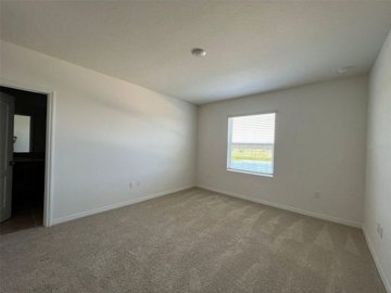 146661519