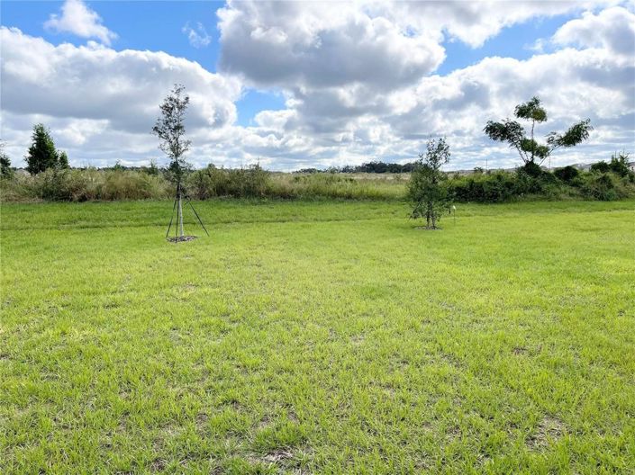 Image No.11-5 Bed House for sale