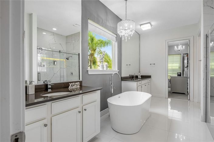 Image No.43-6 Bed House for sale