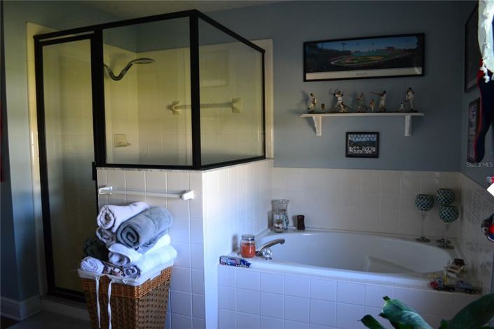 Image No.45-3 Bed House for sale