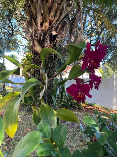 Image No.38-3 Bed House for sale