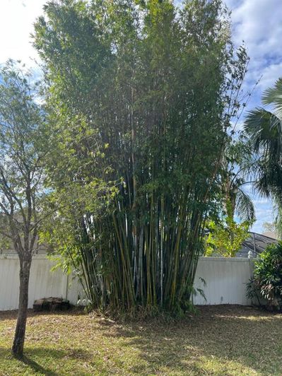 Image No.39-3 Bed House for sale