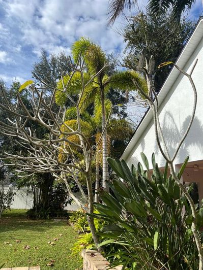 Image No.41-3 Bed House for sale