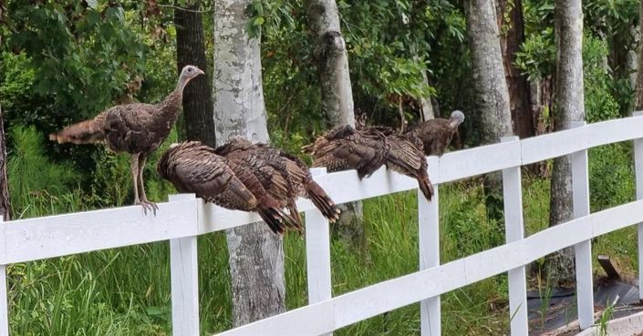 Image No.60-3 Bed Property for sale