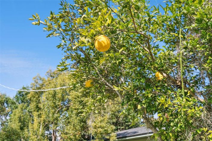 Image No.27-2 Bed Property for sale