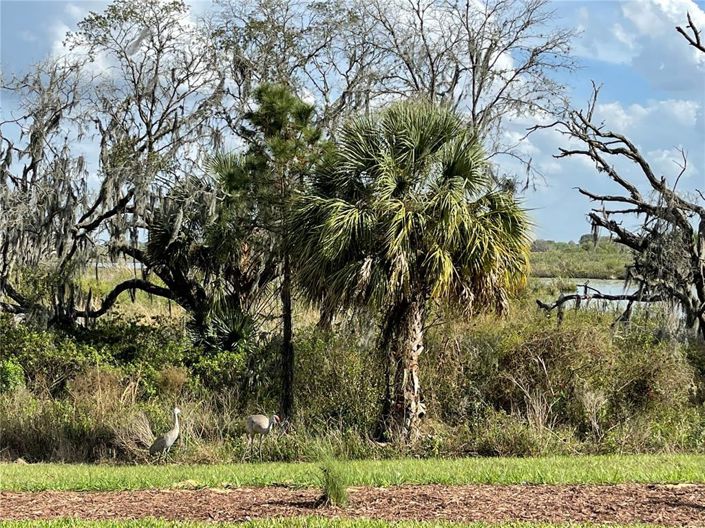 Image No.37-Propriété de 4 chambres à vendre à Davenport