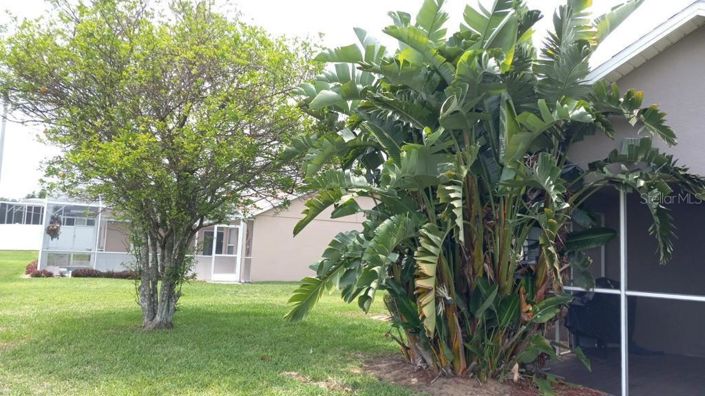 Image No.4-Propriété de 3 chambres à vendre à Davenport