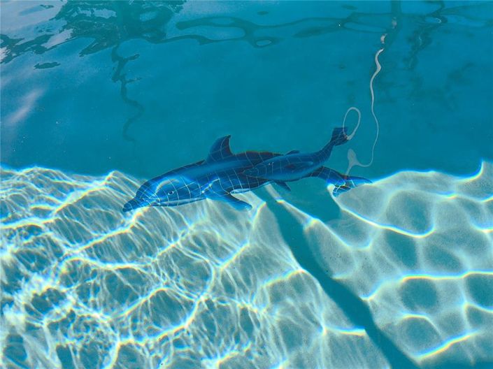 Image No.55-Propriété de 6 chambres à vendre à Davenport