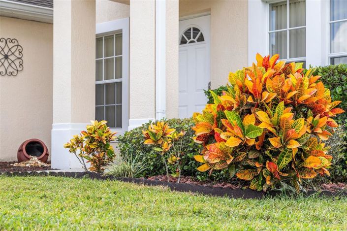 Image No.7-Propriété de 4 chambres à vendre à Davenport