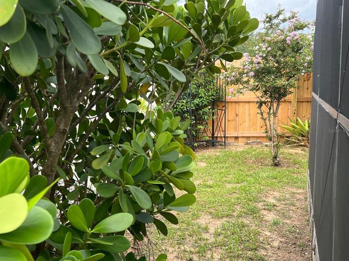 Image No.57-4 Bed House for sale