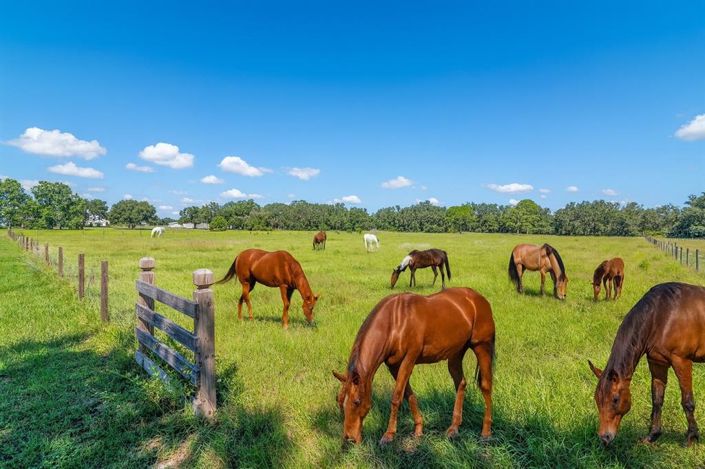 Image No.32-3 Bed House for sale